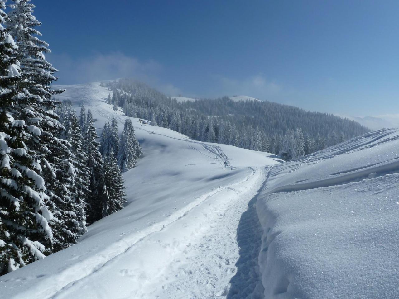 Gaestehaus Alpina บัดโคลกรุบ ภายนอก รูปภาพ
